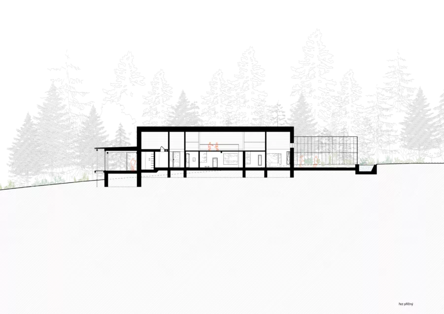 husle_viz_2